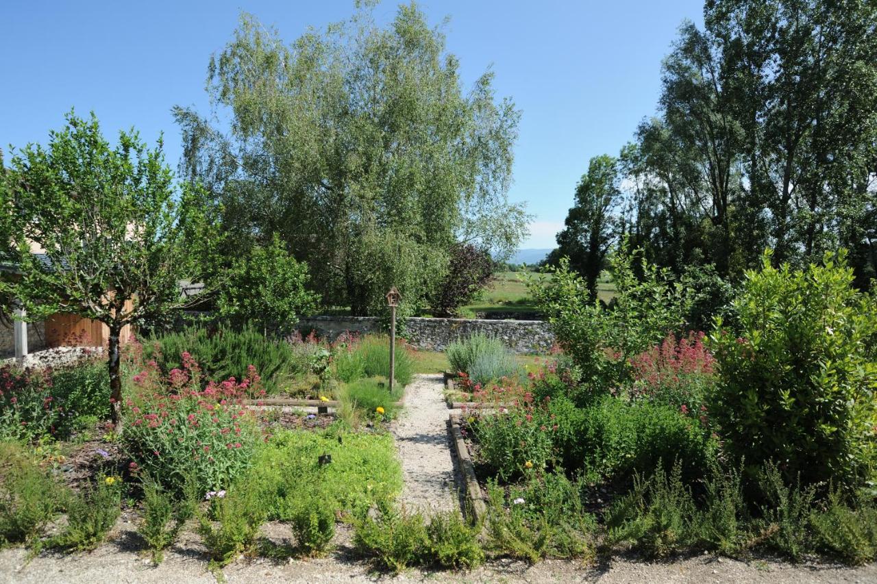 Les Villas Du Domaine De Suzel 维涅吕 外观 照片