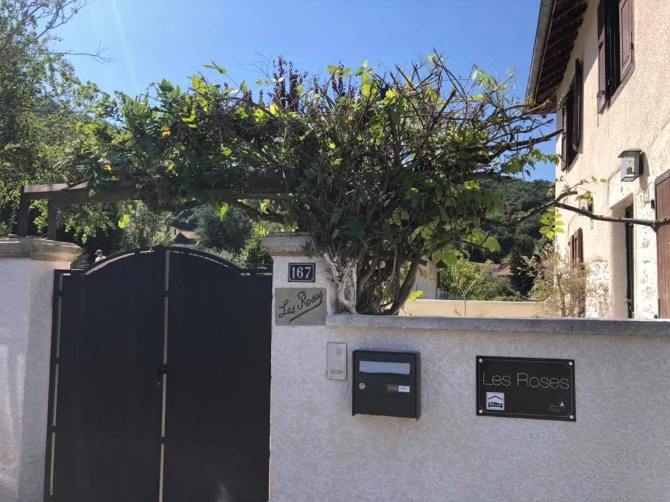 Les Villas Du Domaine De Suzel 维涅吕 外观 照片