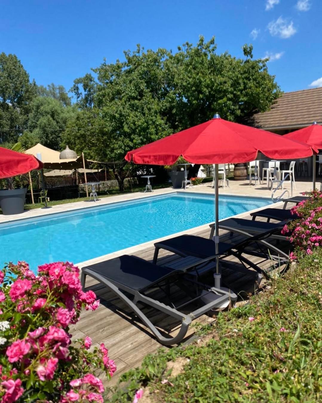 Les Villas Du Domaine De Suzel 维涅吕 外观 照片